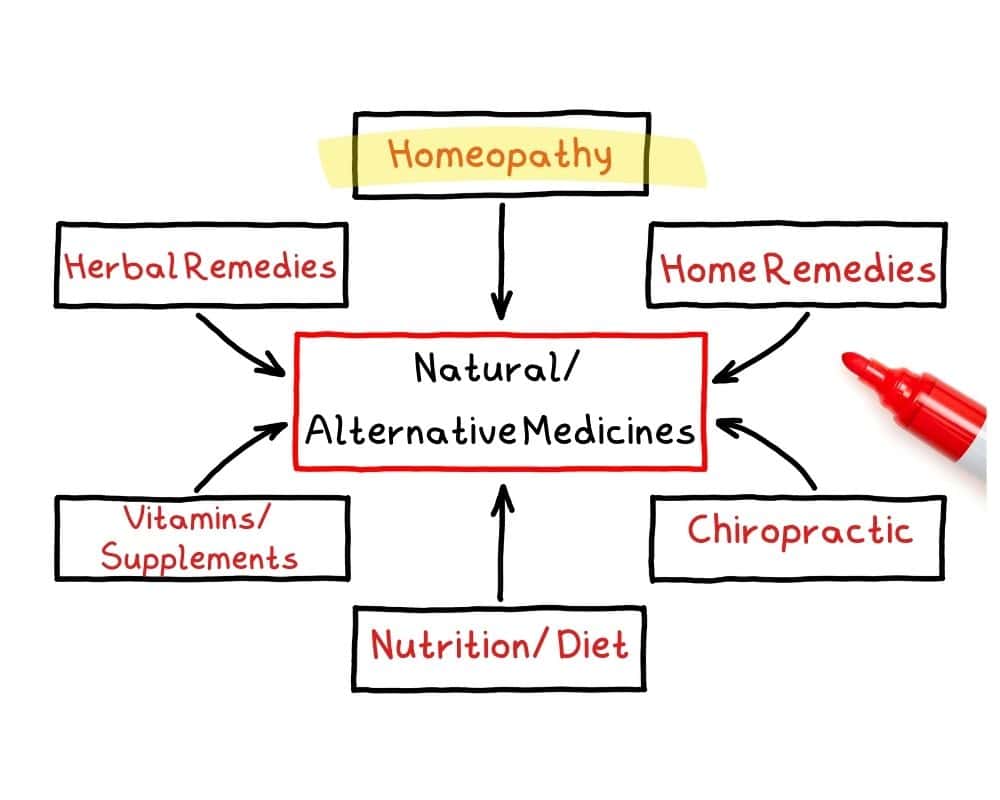Flow Chart showing types of Natural/ Alternative Remedies: Homeopathy, home remedies, chiropractic, supplements, herbals