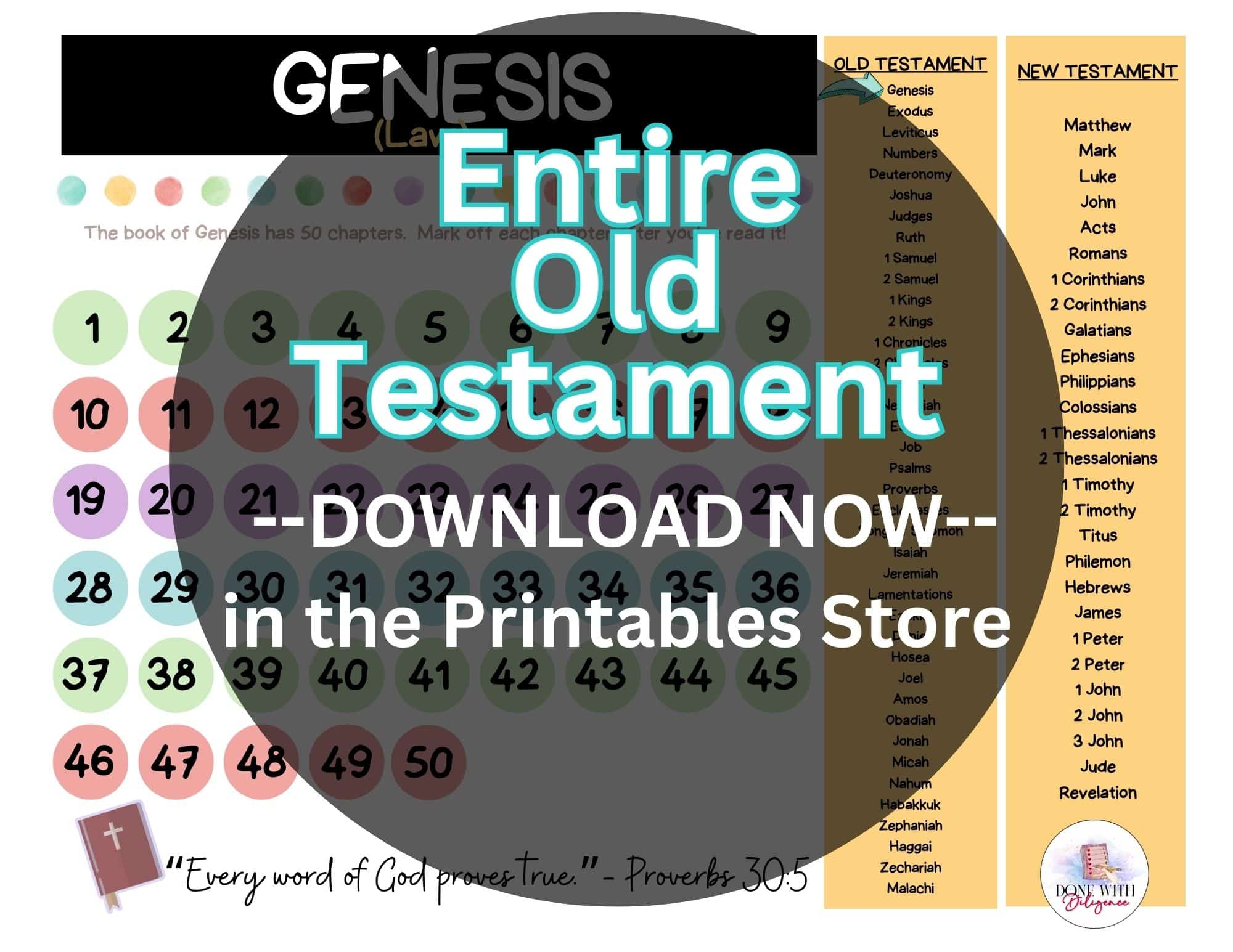 Book-by-Book Bible Reading Plan for Kids/Family: Visual, Printable ...