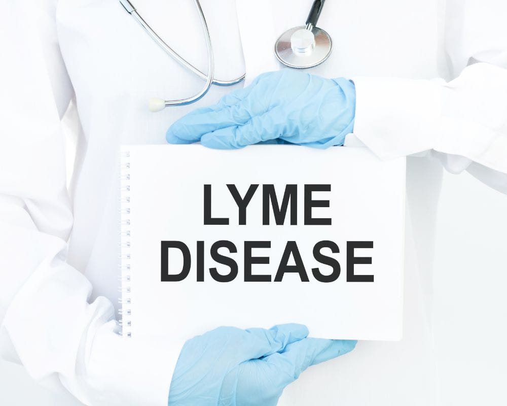 gloved scientist holding sign that says lyme disease