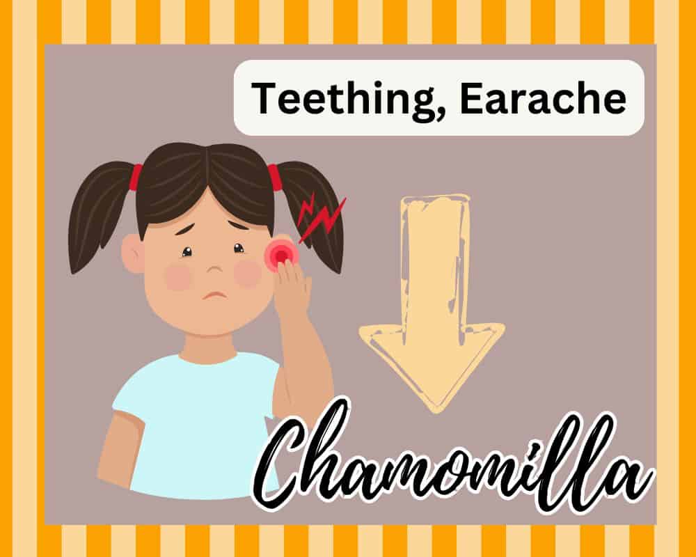 girl with earache and chamomilla