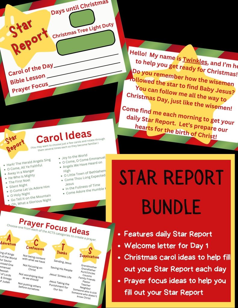 Star report bundle with 4 items