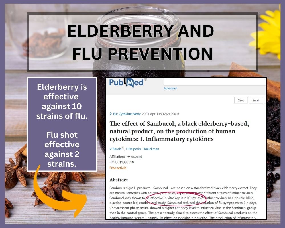 Elderberry research on flu prevention