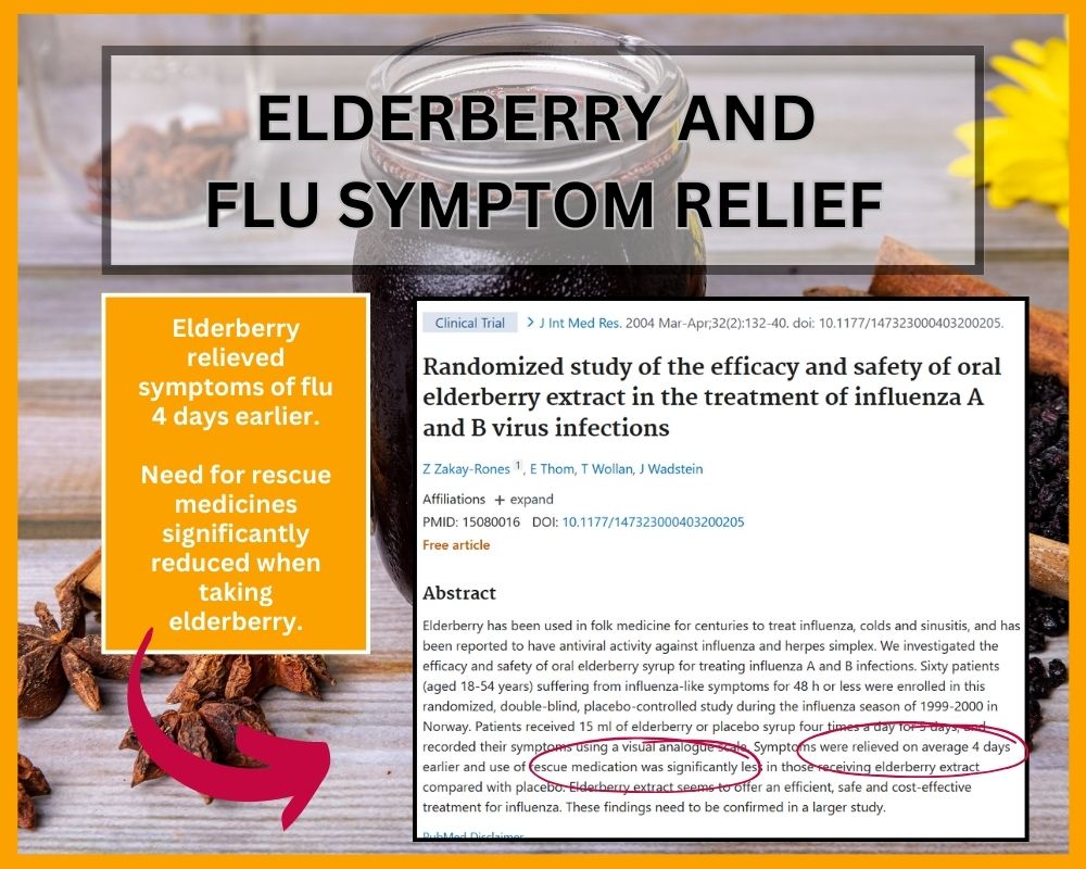 elderberry and flu symptom relief research