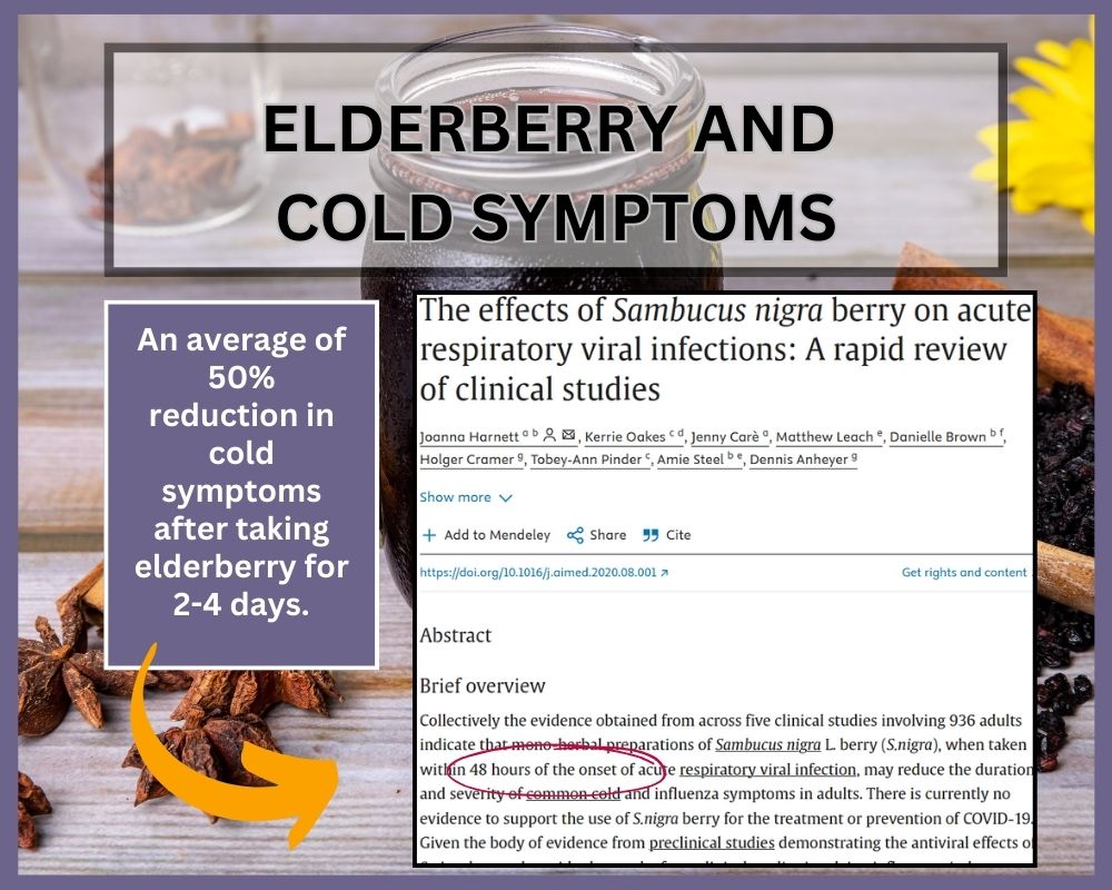 elderberry and cold research