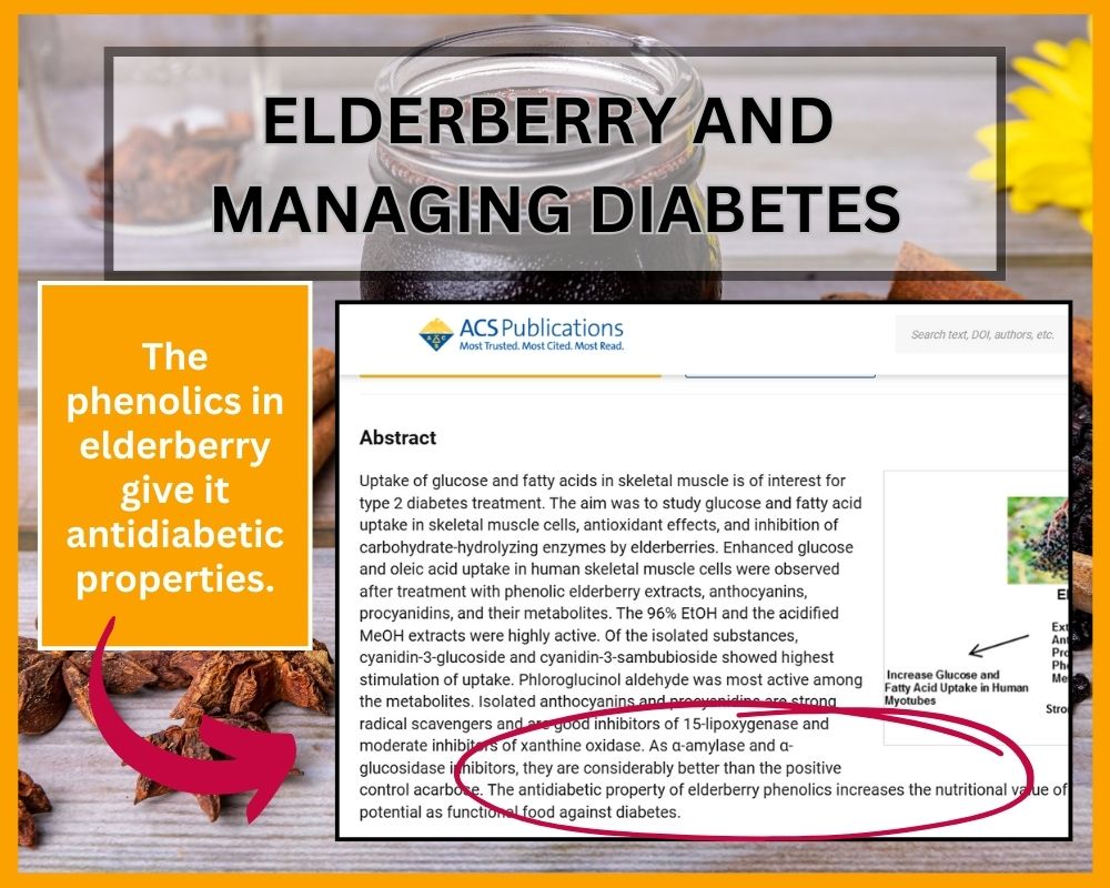 elderberry and diabetes research