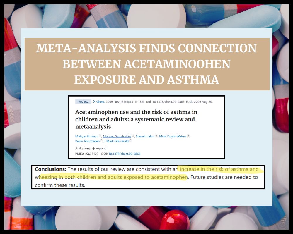 meta analysis snippet