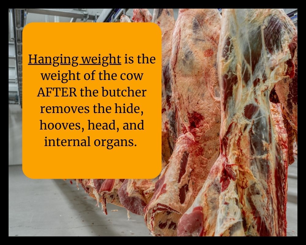 meat hanging in butcher shop